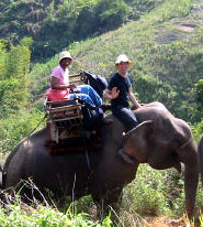 Floyd Sweeting III and a friend, riding an elephant in northern Thailand, 2003.